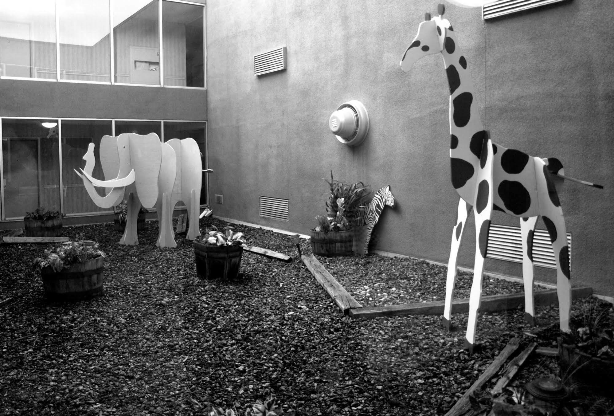 Safari Inn Downtown Boise Exterior photo